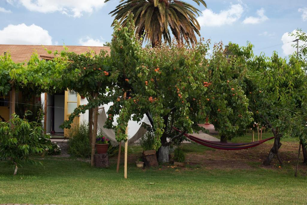 לינה וארוחת בוקר סנטה קרוז Casa Pando מראה חיצוני תמונה